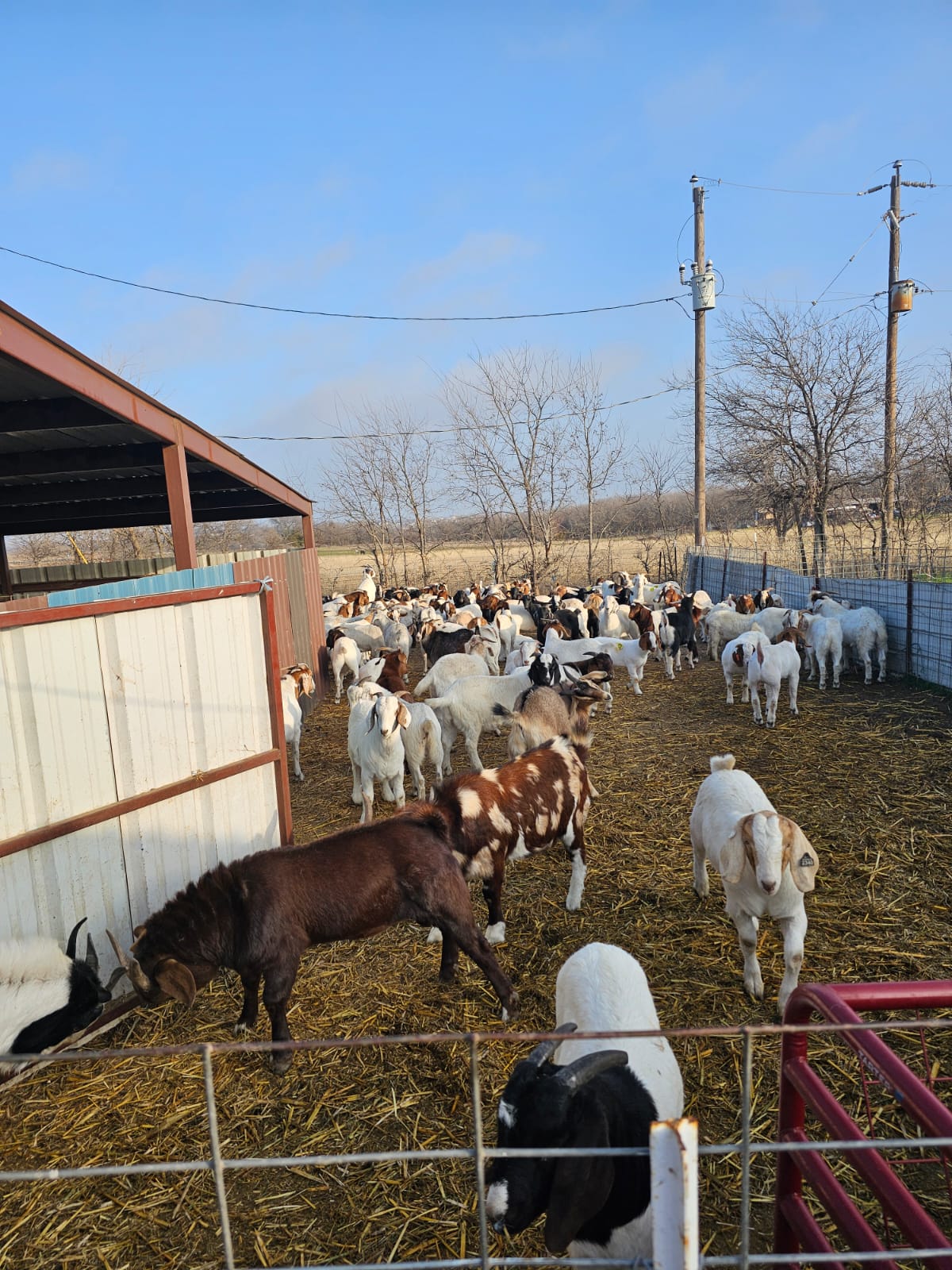 WhatsApp Image 2025-05-01 at 2.25.47 PM (3)